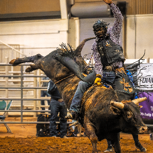 Bull Ride Calendar Thumbnail