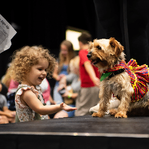 Pet Parade Calendar Thumbnail