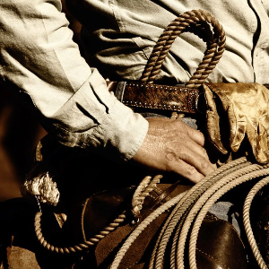 Rodeo 101 Calendar Thumbnail